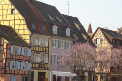 SAMSUNG CAMERA PICTURES