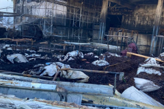 02811495-d136-4c29-b2aa-dee2262f28d2