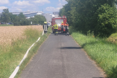 90aa8f01-ed45-4534-846e-86232016276e