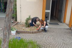 PHOTO-2026-04-18-20-12-41-2